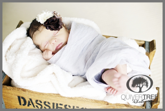 Milestone Sessions :: Precious Little Morgan